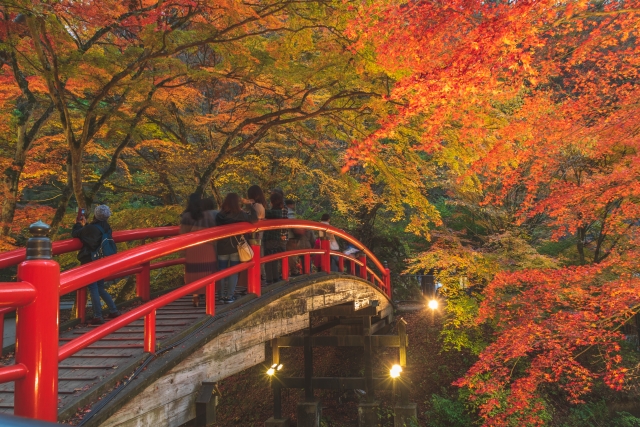 伊香保温泉 河鹿橋 紅葉